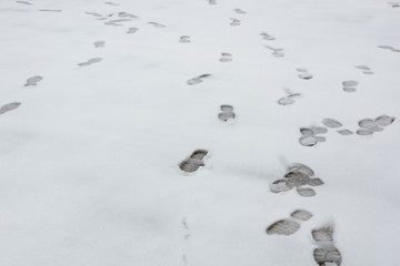 雪 雪景 白雪上的脚印 雪地上