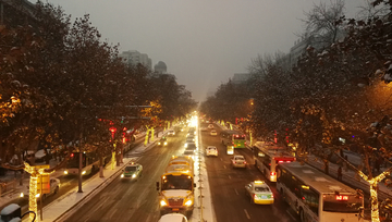 雪夜 飘雪 雪花 纷飞