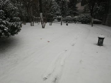 雪中脚印 脚印 小径 雪景