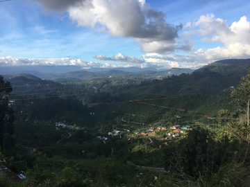 斯里兰卡高山茶园