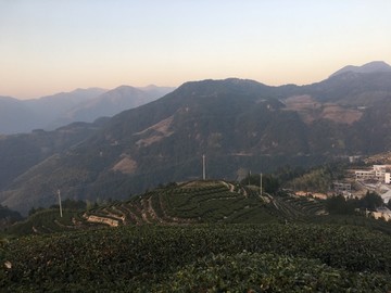 茶山风景