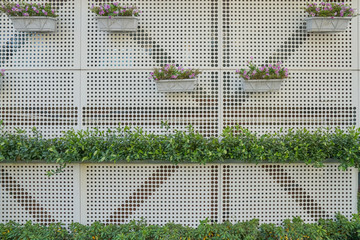 背景墙 植物装饰背景墙