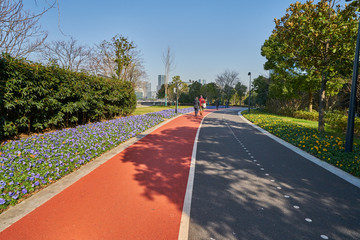 上海滨江大道 健身步道 高清