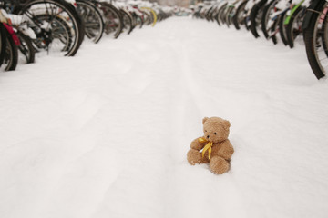 雪地小熊