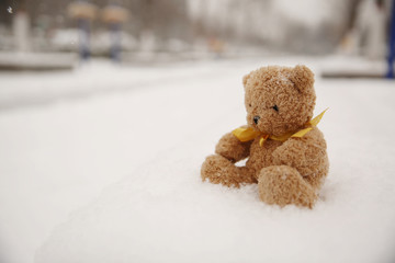 雪地小熊