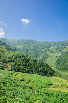 山岭风光