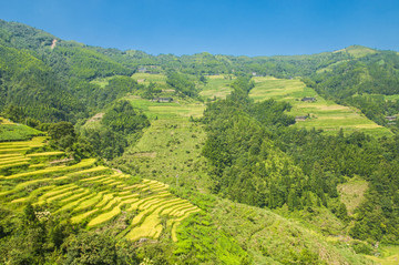 山岭风光