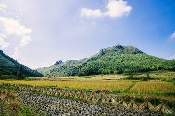 田园秋色