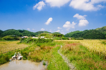 山水田园