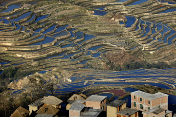 元阳梯田