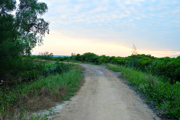 乡间小路