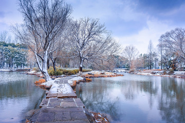 江南园林雪景