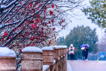 城市雪景