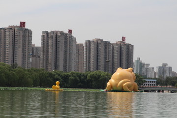 玉淵潭金蟾