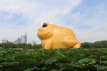玉淵潭金蟾