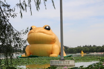 玉淵潭金蟾