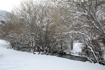 新疆 雪山冰川