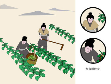 古代人物種植場(chǎng)景插圖矢量作品