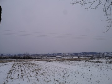 农田雪地