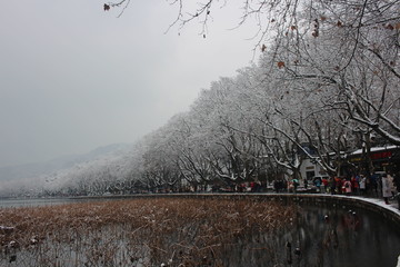 西湖雪景