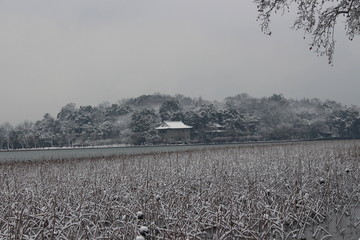 西湖雪景