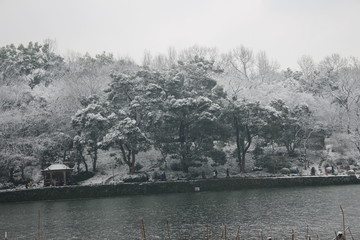 西湖雪景