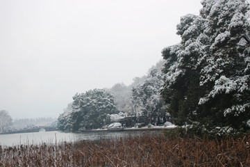 西湖雪景