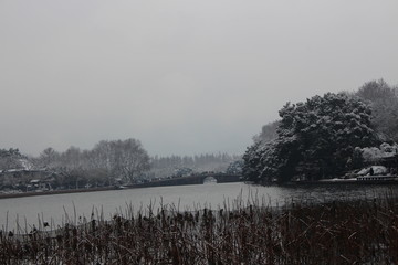 西湖雪景