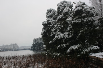 西湖雪景