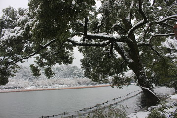 西湖雪景