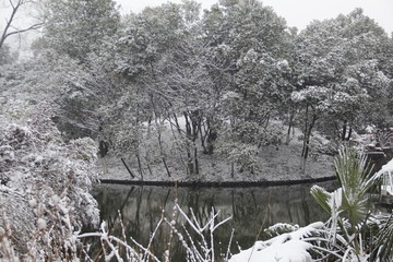 雪景