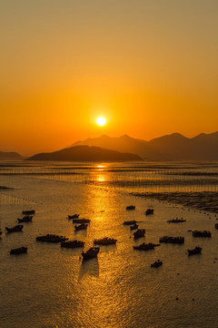 霞浦东壁滩涂