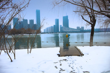 天鹅湖雪景 合肥