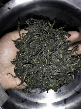 传统手工制茶