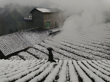 冬天雪景