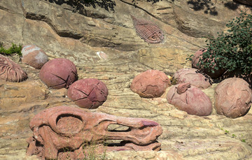 恐龙化石浮雕2