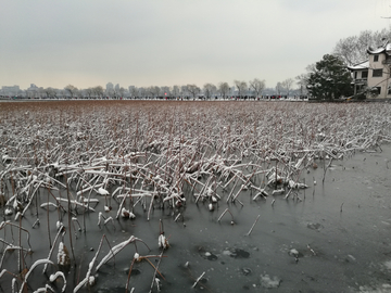 西湖雪4