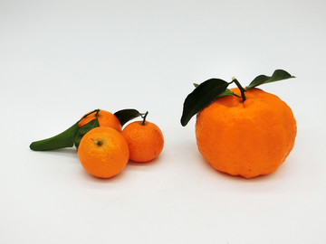柑橘 与砂糖橘