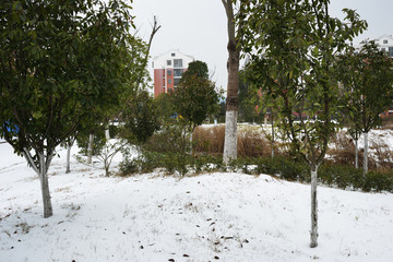 江南雪景