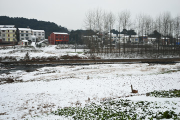 江南雪景