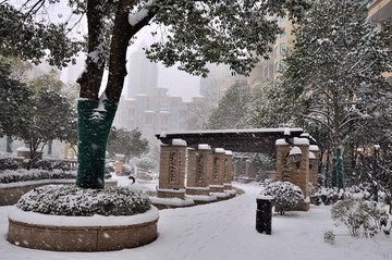 小区雪景