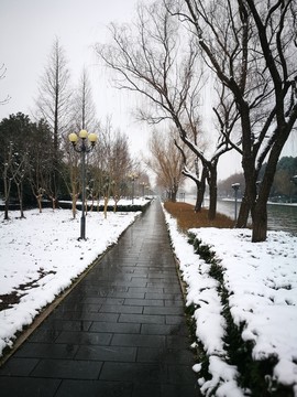 江南的雪6