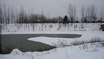 堰塘雪地