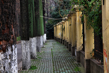 南京 旅游 街边小路