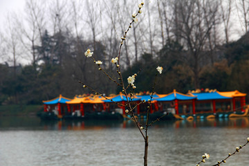 瘦西湖 扬州风景 江南园林