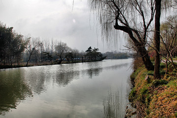 瘦西湖 扬州风景 江南园林