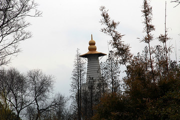 瘦西湖 扬州风景 江南园林