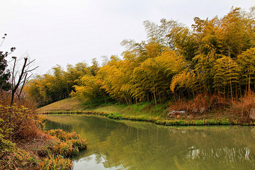 瘦西湖 扬州风景 江南园林