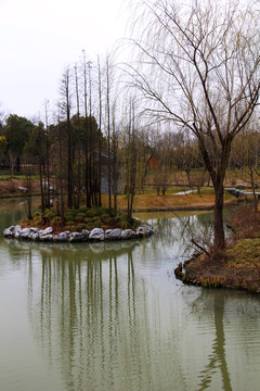 瘦西湖 扬州风景 江南园林