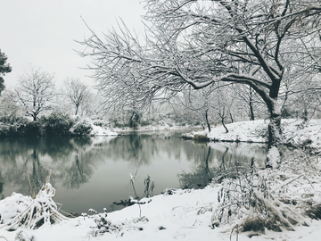 西溪湿地雪景